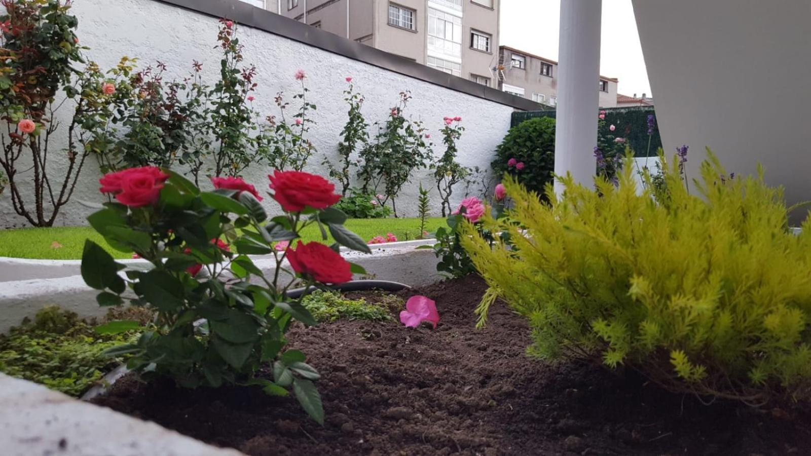 Apartamentos Turisticos Arosa Ogrove 오그로브 외부 사진
